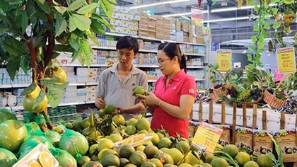 Hệ thống siêu thị Big C chủ động bình ổn giá rau củ