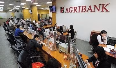 Gần 1,7 triệu tỷ đồng cho vay nông nghiệp, vốn Agribank chiếm 50%