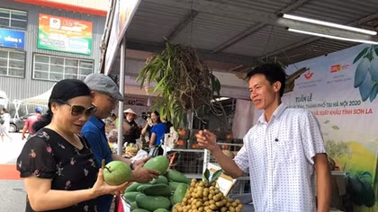 Tuần hàng trái cây, nông sản các tỉnh, thành phố tại Hà Nội năm 2020