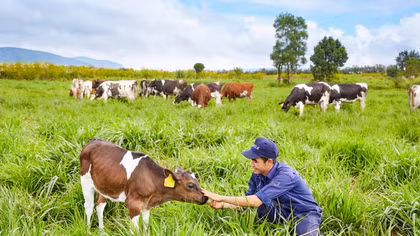 Vinamilk ra mắt sản phẩm sữa tươi organic được sản xuất đầu tiên tại Việt Nam 