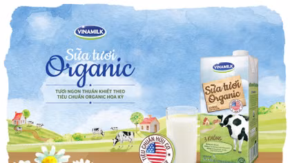 Vì sao sữa tươi organic lên ngôi? 