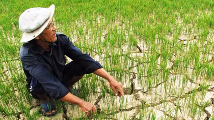 Hiện tượng El Nino có thể xuất hiện vào giữa năm nay 