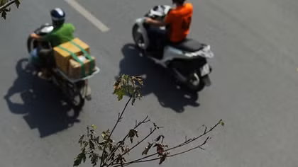 Xót xa nhìn hàng phong lá đỏ khô héo giữa trời thu Hà Nội