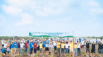 GM Việt Nam chung tay bảo vệ rừng ngập mặn