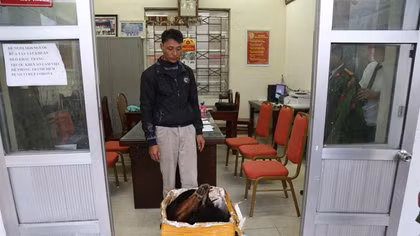 Bắt vụ vận chuyển sơn dương đông lạnh ở Tam Đảo