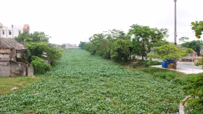 Phát hiện thi thể nam giới xăm dòng chữ “Thương cho một số phận”