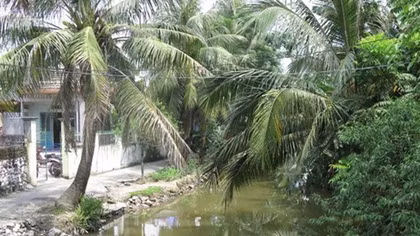 Nỗi đau quê nghèo có 3 em nhỏ đuối nước