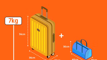 Nữ khách cắn nhân viên hàng không khi bị kiểm tra hành lý
