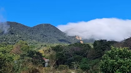 Xuân về bên chân đèo Sa Mù