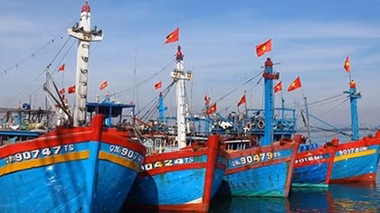 Gian nan đòi tiền bảo hiểm tàu cá