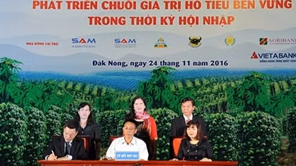 VietABank tài trợ vốn vay cho các hộ nông dân trồng hồ tiêu