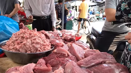 Nhập khẩu lợn sống, giá thịt lợn có “hạ nhiệt”?