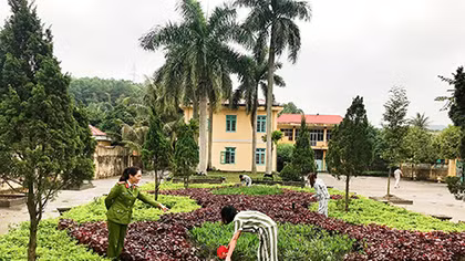 Người thầy không giáo án