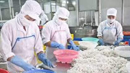 Thiếu hụt nguồn nhân lực phục vụ chế biến, xuất khẩu thủy sản