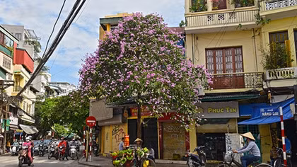 Gìn giữ nét đẹp văn hóa truyền thống với chương trình "Tôi yêu Hà Nội"