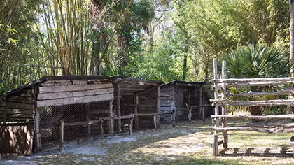 Cái chết bí ẩn của “Tarzan rừng già Florida”