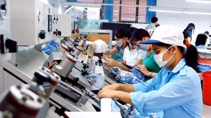 Tiến hành điều tra doanh nghiệp năm 2019