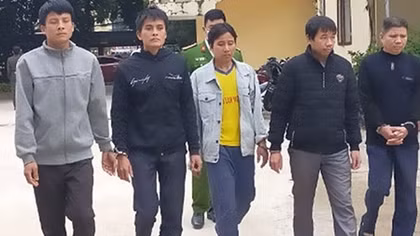 Chủ nhà hàng lập băng nhóm trộm 33 con trâu, bò