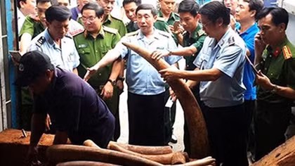 Ma lực từ lợi nhuận buôn lậu ngà voi châu Phi