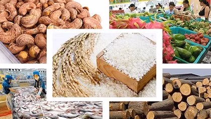 Xuất khẩu nông sản năm 2018 sẽ đạt 41 tỷ USD
