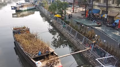 Đìu hiu chợ hoa Tết Bến Bình Đông