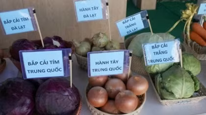 Nông sản Đà Lạt phải gắn nhãn mác để tránh nhầm lẫn với hàng Trung Quốc