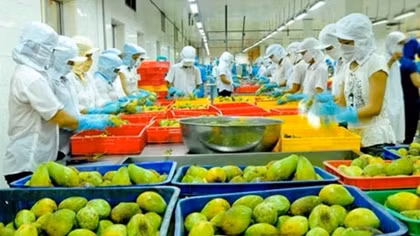 Nông sản xuất khẩu ba tháng đầu năm thu 8,7 tỷ USD