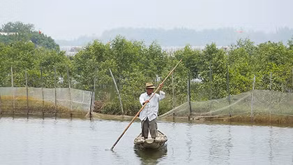 Hoang sơ miền Rú Chá