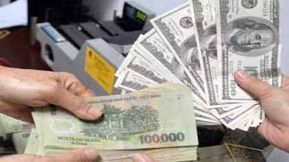 Lãi suất tiền gửi USD 0% góp phần ổn định tỷ giá