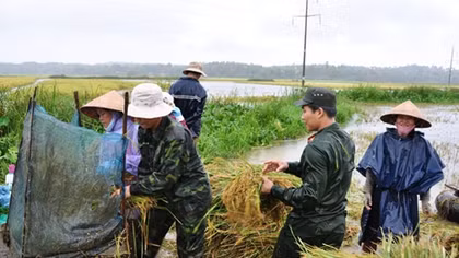 Tình quân dân như “cá với nước”