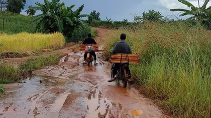 37 gốc cây gần chốt bảo vệ rừng Mang Yang bị "xẻ thịt"