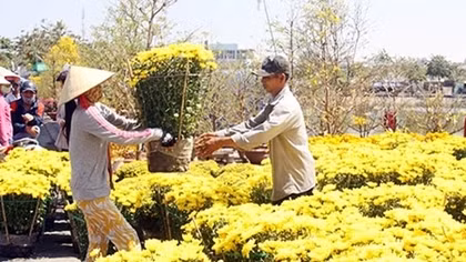 Nhộn nhịp chợ hoa Tết đất Tây Đô