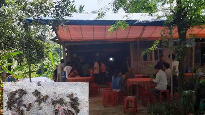 Chủ tịch Hội chữ thập đỏ xã bị ong đốt tử vong