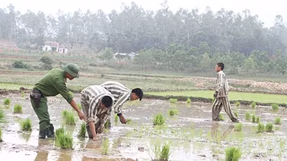 Miệt mài gieo mầm thiện