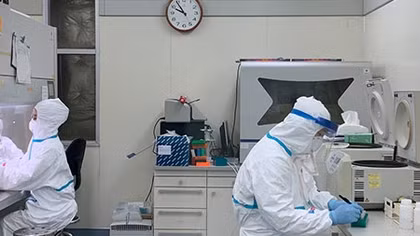 Hành trình giải mã virus Corona