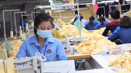 Doanh nghiệp vẫn thờ ơ, “ì” trước EVFTA