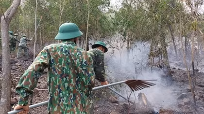 Lại thêm một vụ cháy rừng thông ở Diễn Châu