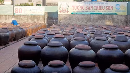 Về với làng Bần
