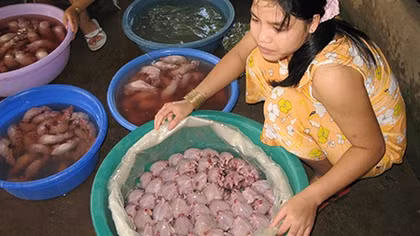 Miền Tây mùa săn chuột