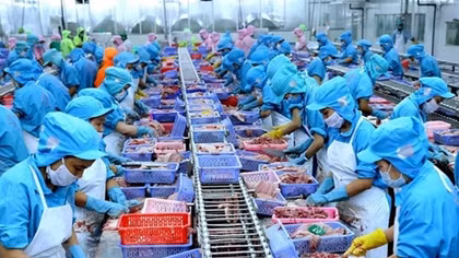 Hỗ trợ doanh nghiệp thủy sản thực hiện quy định mức tiêu hao năng lượng