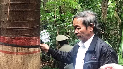 Giữ rừng bằng hương ước