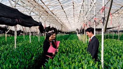 Agribank thúc đẩy tín dụng xanh cho phát triển bền vững