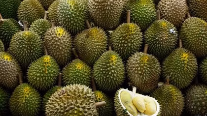 Trung Quốc giảm nhập bưởi và sầu riêng