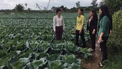 Phụ nữ Thái Bình chung sức xây dựng nông thôn mới