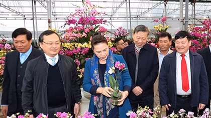 Chuyển đổi mô hình nông nghiệp truyền thống sang ứng dụng công nghệ cao