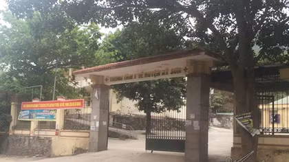 Uống rượu ngâm rễ cây: 3 người chết, 1 nguy kịch