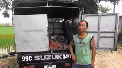 Ô tô vận chuyển 910kg thịt lợn chết đã bốc mùi hôi thối đi tiêu thụ