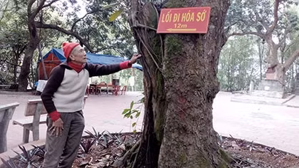 Báu vật ở đền Cao