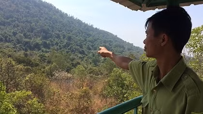 Những người nặng tình với rừng núi Cậu
