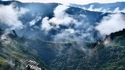 Hun hút Mường Tè